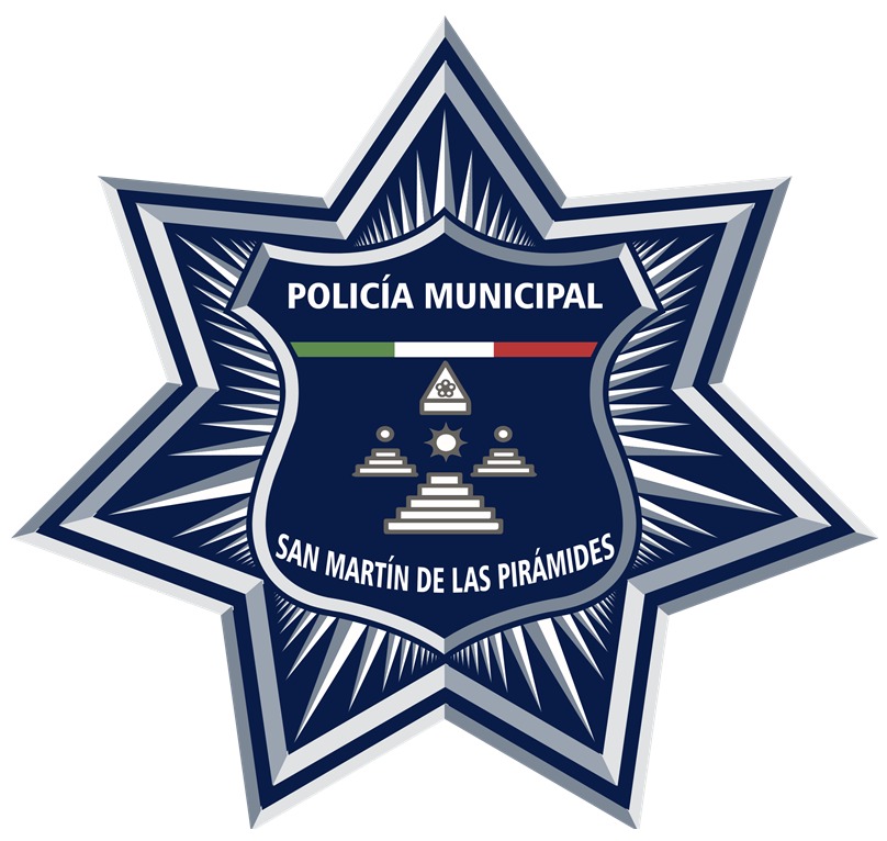 Seguridad Pública